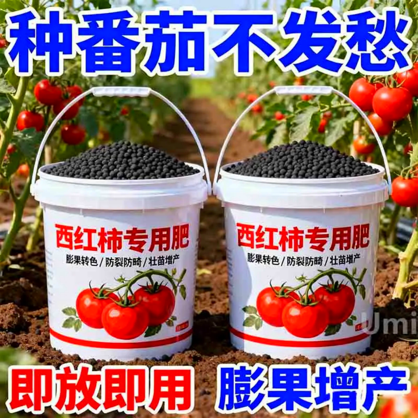 西红柿专用肥颗粒缓释肥防裂防畸壮苗增产生物菌肥1000g高效热销