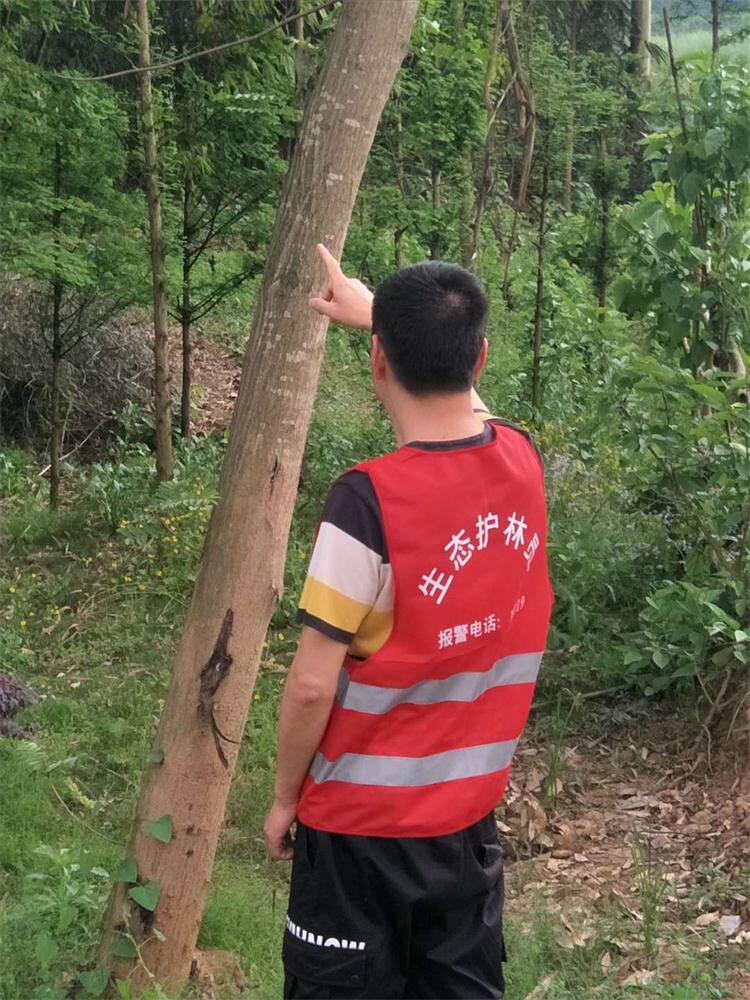 反光背心工人安全园林绿化环卫工程交通路政建筑施工森林防火马甲