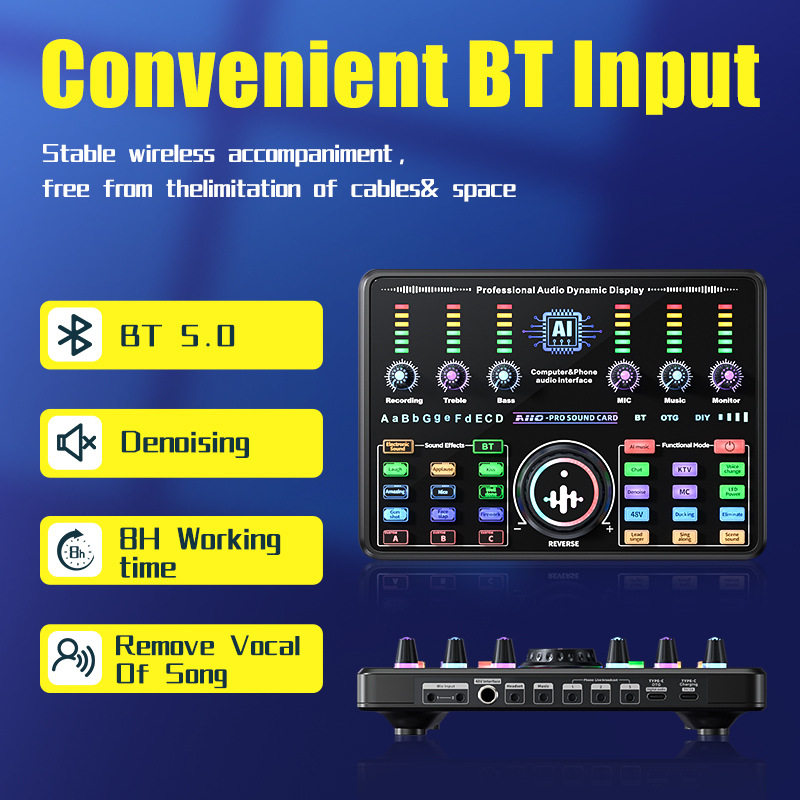 跨境Temu新款英文直播声卡48V直播K歌电脑声卡游戏PK直播话筒全套
