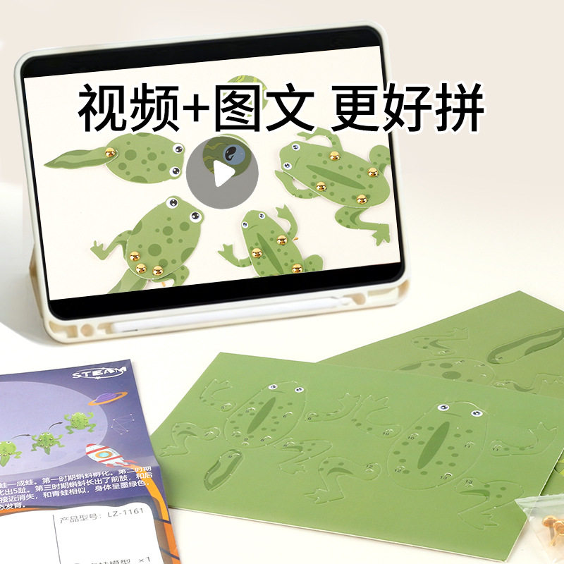 小蝌蚪长大了幼儿园科学益智教具儿童小孩玩具手工diy材料包