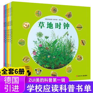 四季时钟最美的科普系列全套6册乌纳雅各布绘本 太阳时钟草地时钟少年版儿童图画书6-12岁小学生课外书正版书籍