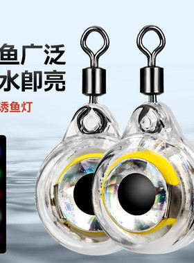 路亚海钓鱼眼款电子诱鱼灯 LED水下集鱼器鱼饵灯入水亮鱿鱼带鱼灯