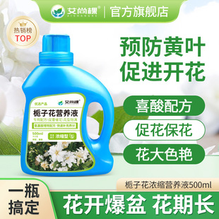 艾尚棵栀子花专用肥料盆栽黄叶硫酸亚铁养料磷酸二氢钾酸性营养液