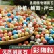彩色陶粒养花铺面石水培盆栽垫底石头透气多肉鱼缸七彩陶粒球土壤