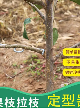 M型果树拉枝器定型器拿弯器梨树别枝拉直压弯开角苹果樱桃树农用