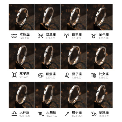 简约十二星座藏银戒指