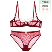 Бордовые трусы