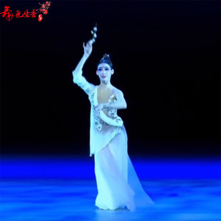 演出服艺考桃李杯寒依疏影古典舞蹈服女新款飘逸表演舞台服饰定制