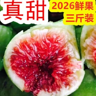 3斤新鲜无花果威海青皮无花果甜孕妇水果顺丰空运/1斤