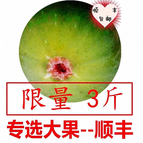 专选大果，3斤新鲜无花果甜糯威海青皮无花果，优选大果