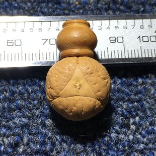 尼泊尔凤眼菩提子龙眼麒麟眼五星上将佛头佛塔三通手串佛珠念珠