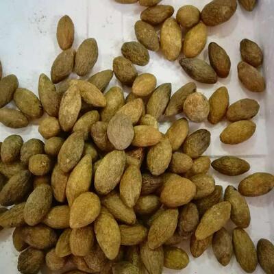 半咸甜橄榄 盐冿橄榄  福建闽清特产 干果脯 休闲食品