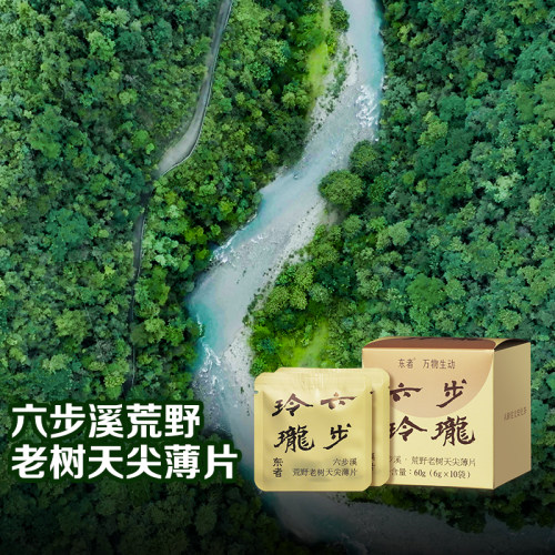 六步玲珑-2017年六步玲珑天尖薄片6g*10安化黑茶 7.28