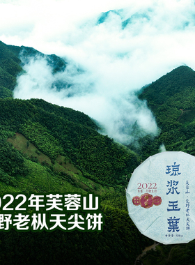 琼浆玉叶-2022年芙蓉山天尖茶饼128g安化黑茶7.28