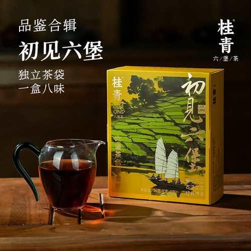 六堡茶入门大全黑茶桂青