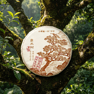 嘉木连理妙指兰心百华香露迦南美地生普单株南糯山茶王地普洱茶
