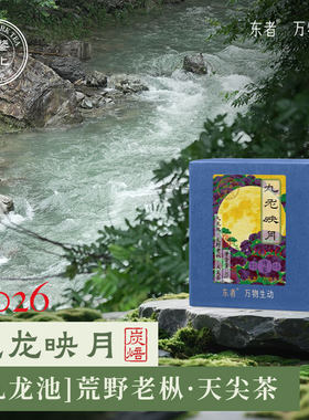 九龙映月 九龙池炭焙天尖散茶 安化黑茶616东者