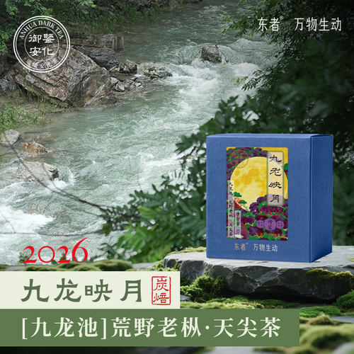 九龙映月 九龙池炭焙天尖散茶 安化黑茶616东者