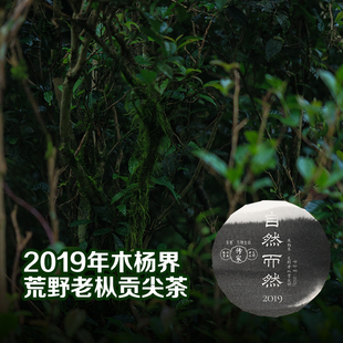 自然而然贰号地2019木杨界贡尖饼350g 927