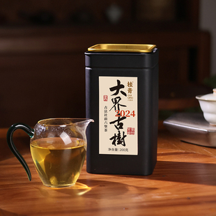 大界古树社前茶2024桂青六堡茶生茶广西特产黑茶520