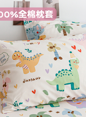 奇妙之旅 恐龙卡通纯棉枕套斜纹棉枕芯套30x40x50cm四季用可机洗
