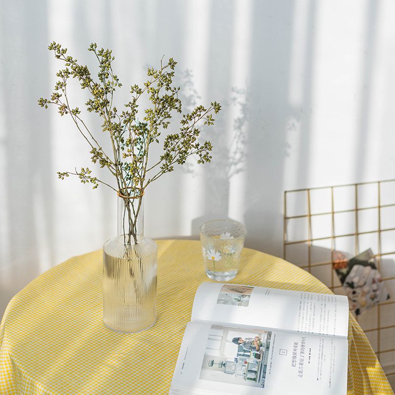 北欧软装设计配饰植物果实小米果