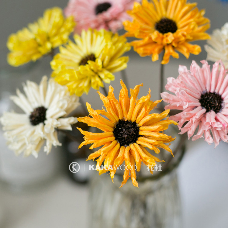 北欧彩色干燥花手工果实果壳花干花插花搭配摄影家居装饰品马蹄莲,家居饰品,干花/花瓣/干花包/干树枝,淘宝优惠券,粉丝福利购,淘宝优惠卷