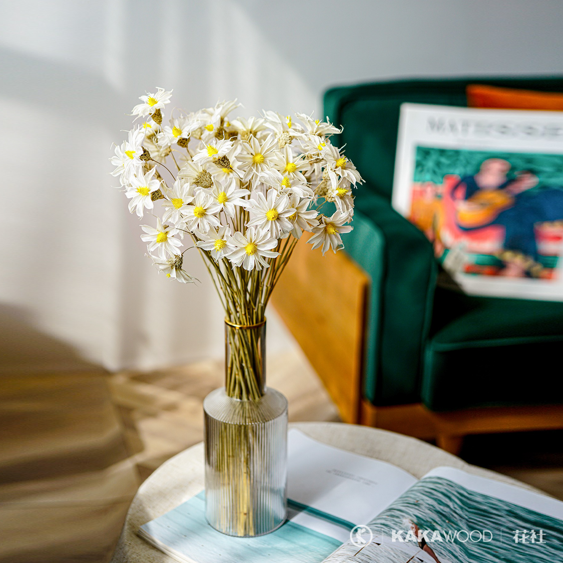 kakawood花社手工荷兰小雏菊干花