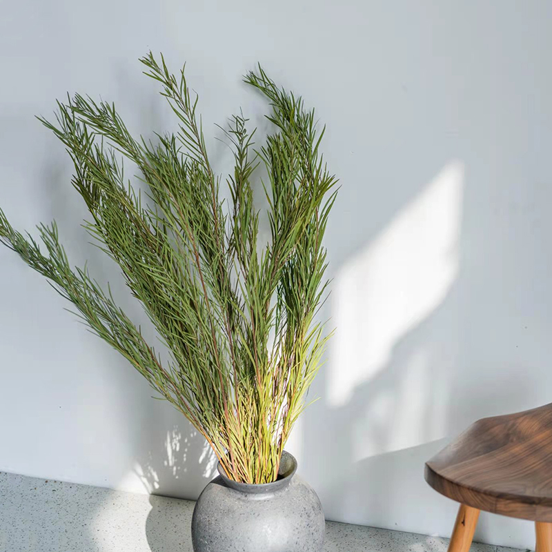 干花干树枝插花配配草小米粒设计