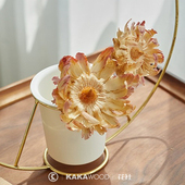 南非凤凰花进口干燥植物天然干花文艺软装 摆设ins插花搭配花材