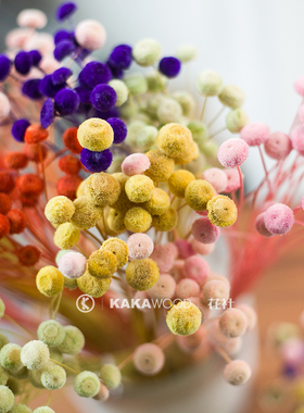 进口天然彩色自然干燥花