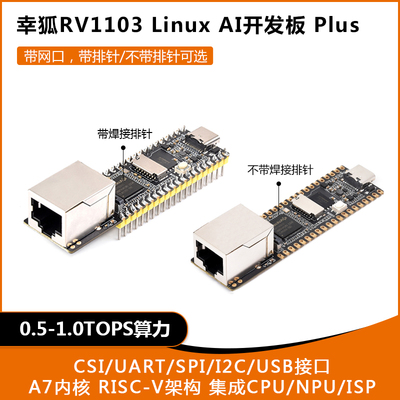 幸狐LuckfoxPicoPlus开发板