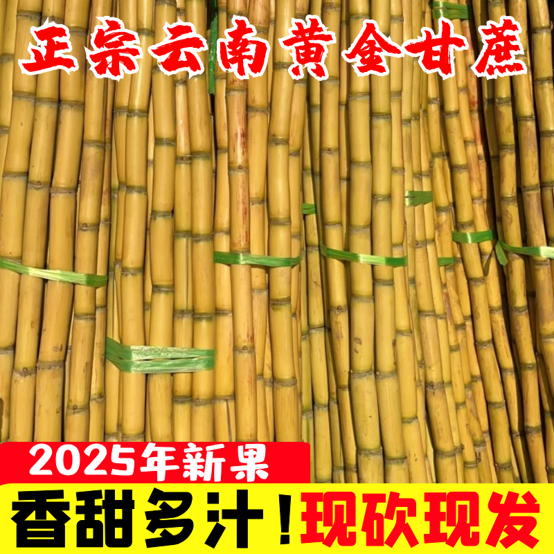 【黄金甘蔗】云南原产地现砍现发
