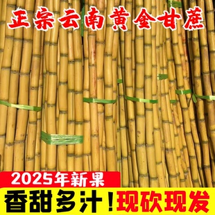 云南黄金甘蔗新鲜批发现砍包邮孕妇当季水果榨汁整箱装