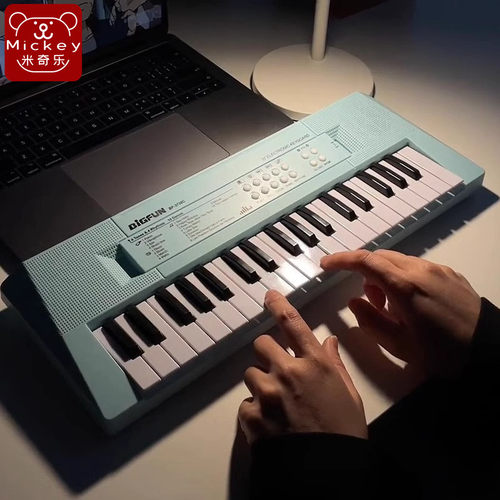 可弹奏家用初学者入门级音乐玩具