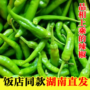 正宗湖南樟树港辣椒本地特产农家现摘新鲜薄皮小青椒半斤包邮