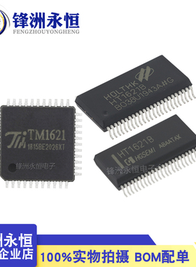 HT1621B 贴片SSOP-48 RAM映射 LCD驱动器 液晶芯片 TM1621