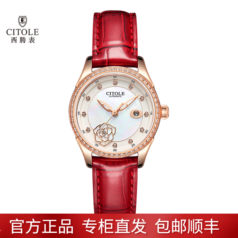 新款西腾手表时尚防水表带贝母