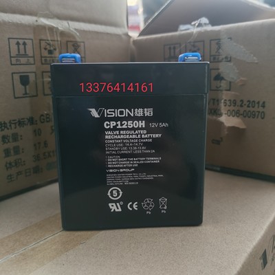 VISIO威神CP1250蓄电池柜12V5HAH库N卡工业机器CP1250H人控制电梯