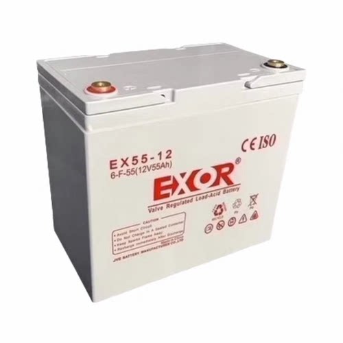 EXOR埃索蓄电池UPS12v17AH24AH38AH40AH55AH65AH100AH直流屏电瓶