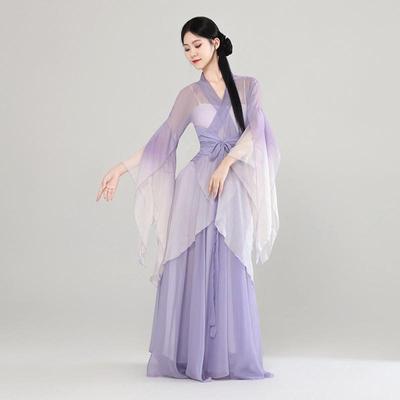古典舞蹈服女飘逸剧目演出服装