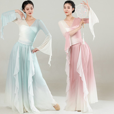 古典舞蹈服女飘逸网纱练功服古风