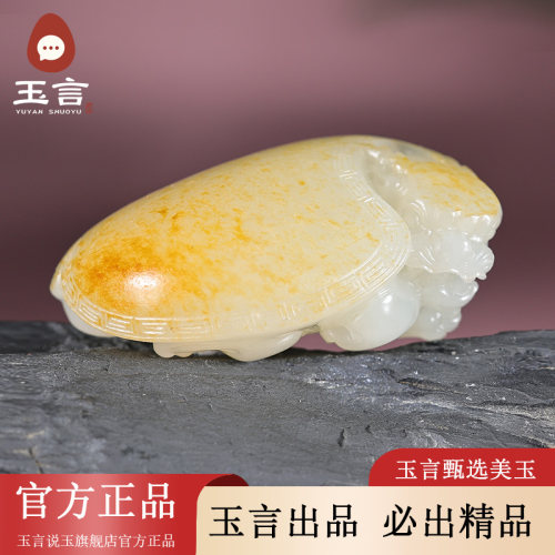 玉言说玉新疆和田玉籽料白玉龙龟挂件吊坠男女款带证书真皮真籽