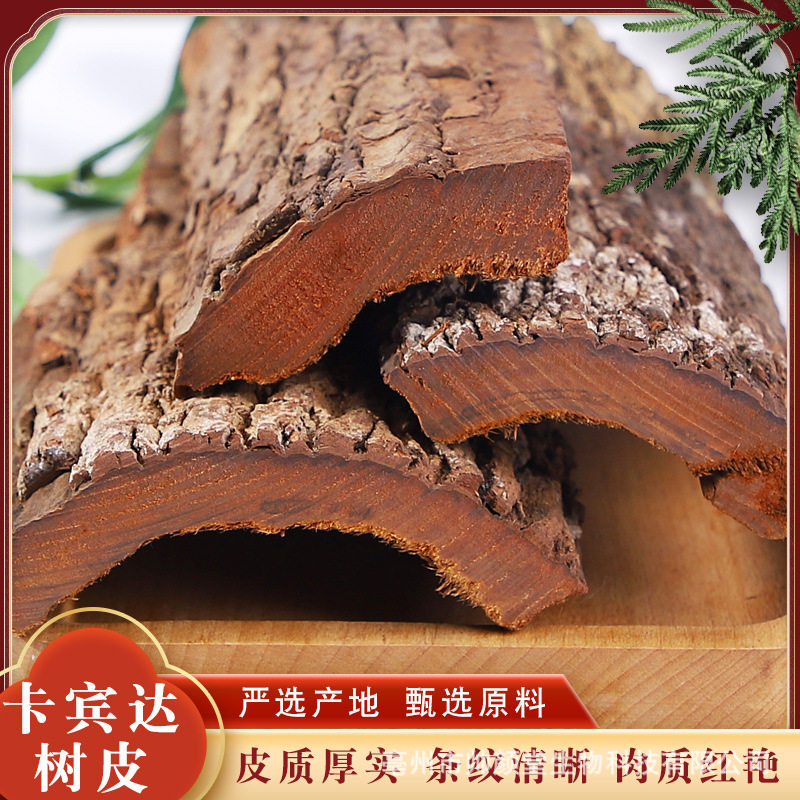 野生非洲卡宾达树皮安哥拉老树皮根部正品纯天然滋补泡酒料