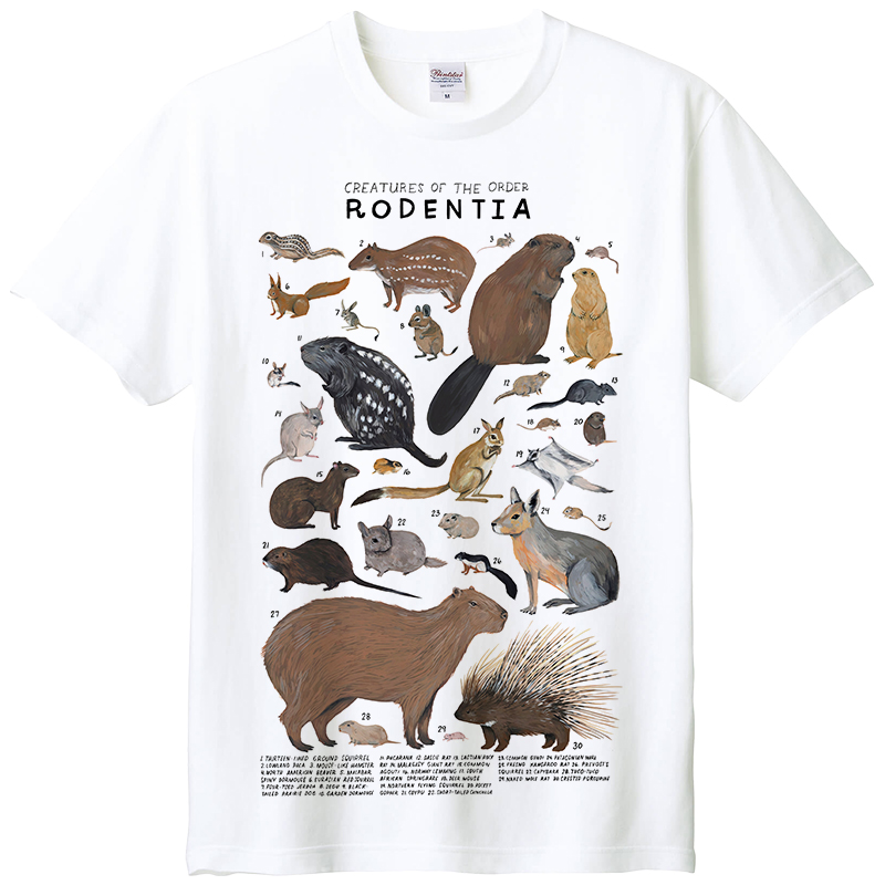 printstar短袖动物亲子纯棉T恤