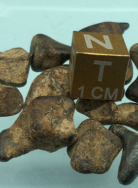 A塔扎铁陨石 小Taza 镍铁陨石 天上的星星 天铁NWA859