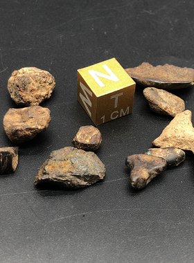H塔扎铁陨石 小Taza 镍铁陨石 天上的星星 天外来客 NWA859