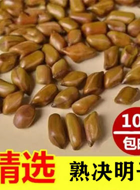 炒熟决明子枕头枕芯家用散装正品纯决明子全填充儿童成人枕头助眠