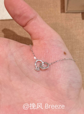 银色双环镶钻超闪项链女轻奢精致