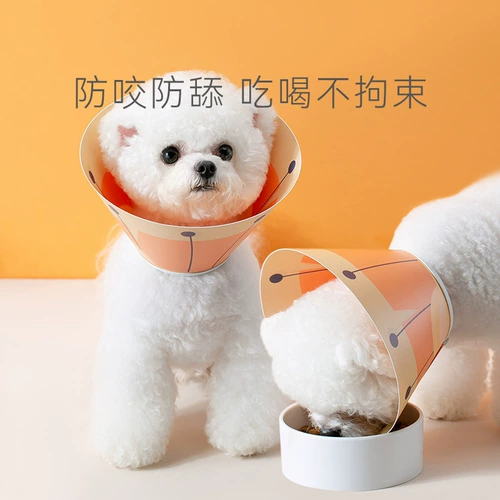 Кошка Элизабет Круг СОБАК И КОТ